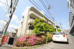 ドミール桃山台の画像