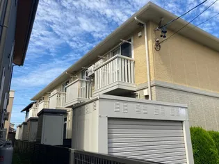 ボアソルテの画像