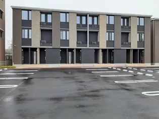 RICO ALIVIO Iの画像