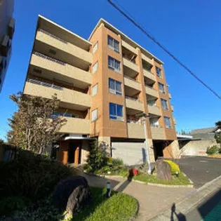 コントレール桜の画像