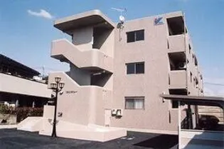 Y&Mカミューの画像