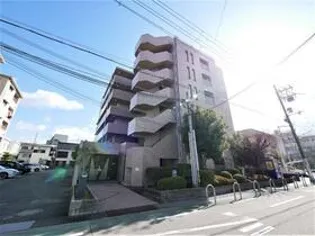 ハイムヤノウの画像