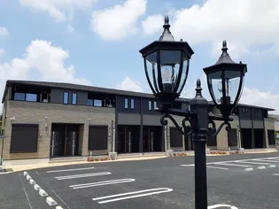 セラリーレイスの画像