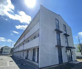 フローラの画像