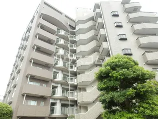 ビュー雷神Ⅱの画像