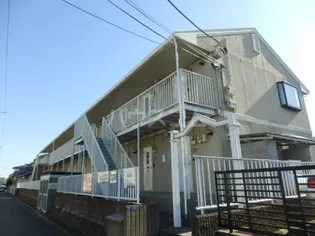 マリーゴールドAの画像