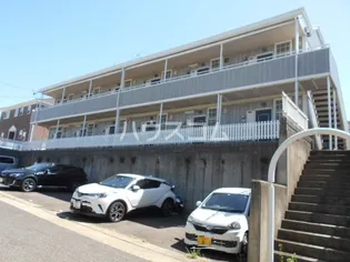 AME YAKIYAMAの画像