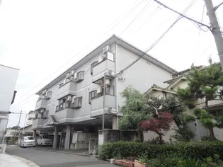 セレーナ土生の画像