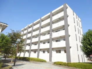 BELLA LUCE Bの画像