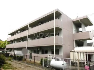 フォレストジョウエイの画像