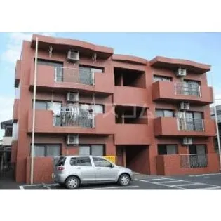 グレースの画像