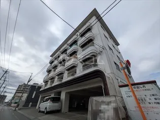 ブルースカイヤナゼの画像