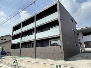 スターシードの画像