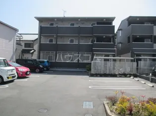 サザンクロスの画像