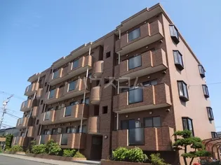 グリーンシャンテの画像