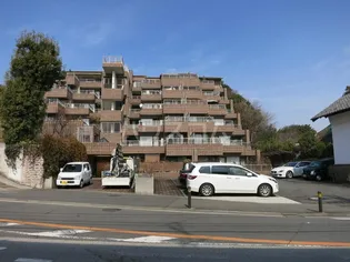 マイソン蔵の画像