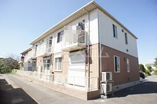 コスモスAの画像