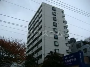 キャッスル桜木【6階】の外観