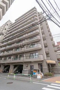 シャルマンの画像