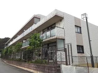 モラダ アケボノの画像