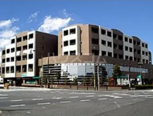 サザンクロスの画像