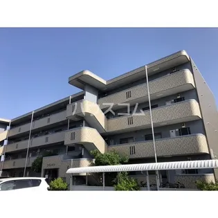 プランタンの画像