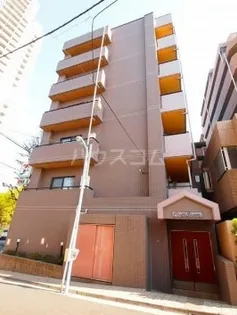 エヴァーグリーンの画像