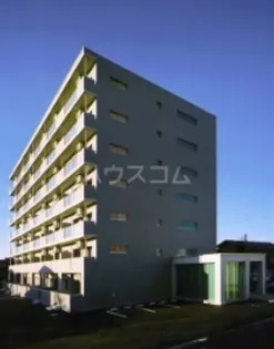 ピーノドゥーエの画像