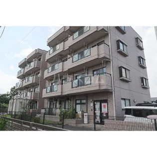 ピソ ベルデの画像