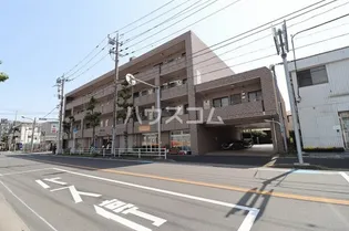 パインツリーコートの画像