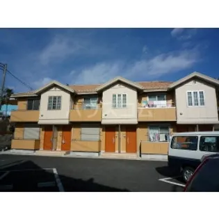 グレイスMの画像