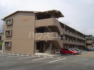 エバーグリーンの画像