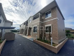 ヴィオラの画像