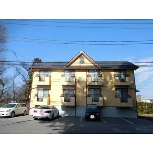 サマックスマーヴェラスの画像