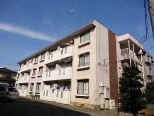 スプリングドエルの画像