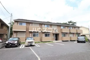 SUNSHINE BELLの画像