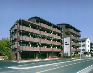 KMリシェスの画像