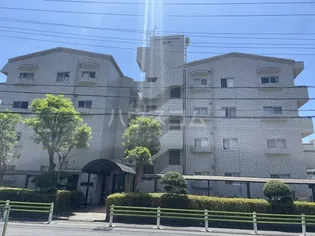 セブンスターマンション金町の画像