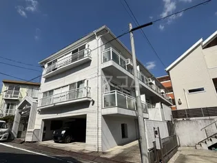 カメリアの画像