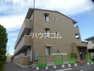 グレイスの画像