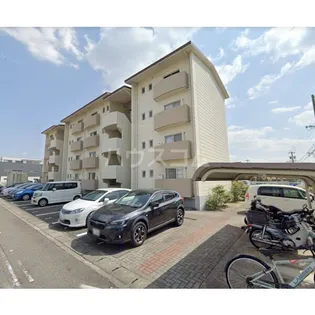 ボナール Tの画像