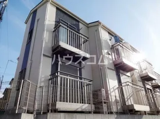 サザン ラキシスの画像