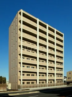 アマルフィーノの画像