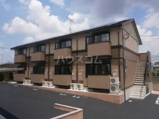 アムールの画像