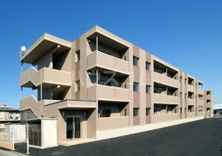 リノ スパロウの画像