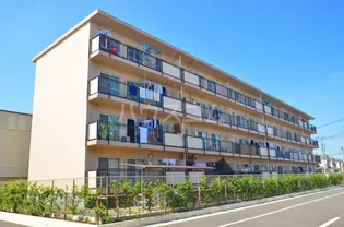 プラザドゥユートピアの画像