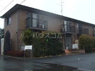 ティモーネの画像