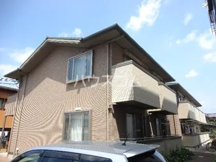 ソレジオキタコセの画像