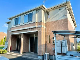 フリージアの画像