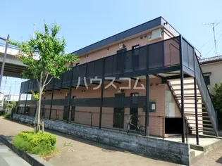 アムール白樺の画像